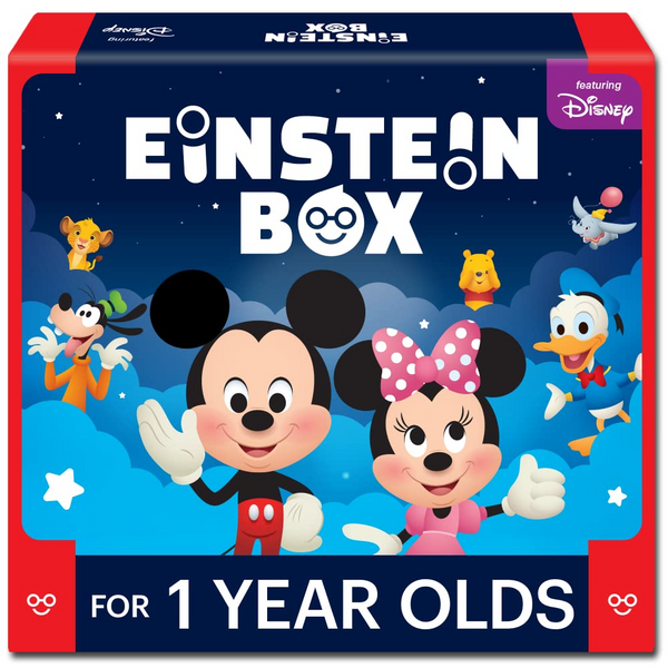 Einstein Box Gift Toys For 1-Year-Old Boys/Girls - Distacart