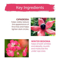 Thumbnail for Himalaya Herbals Under Eye Cream (15 ml) - Distacart