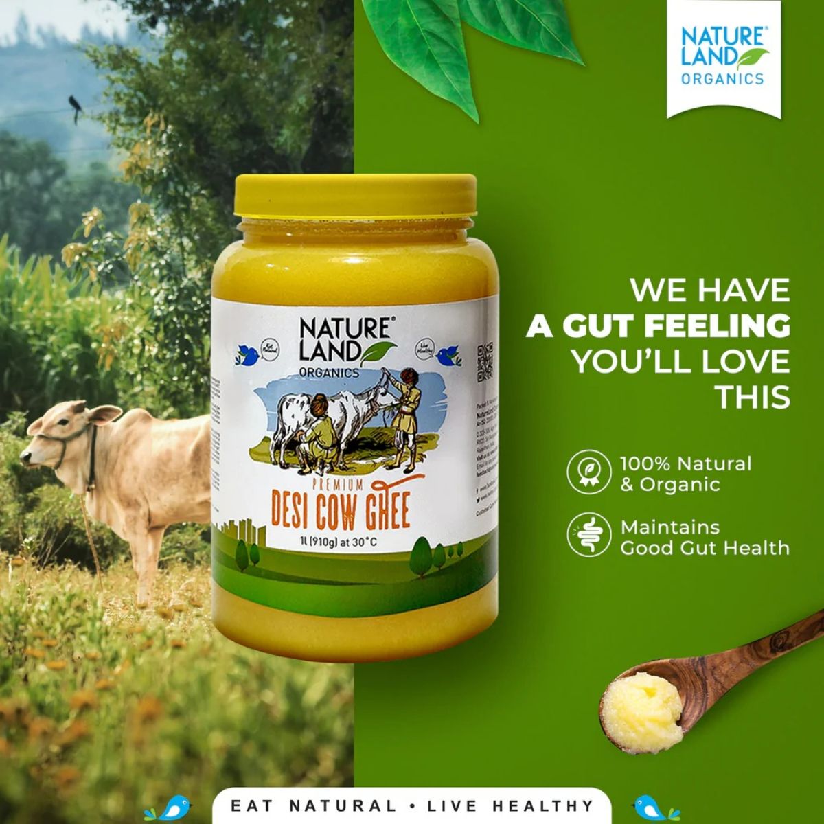 Nature Land Organics Premium Desi Cow Ghee - Distacart