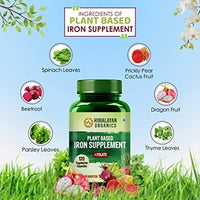 Thumbnail for Himalayan Organics Plant Based Iron Supplement + Folate Vegetarian Capsules - Distacart