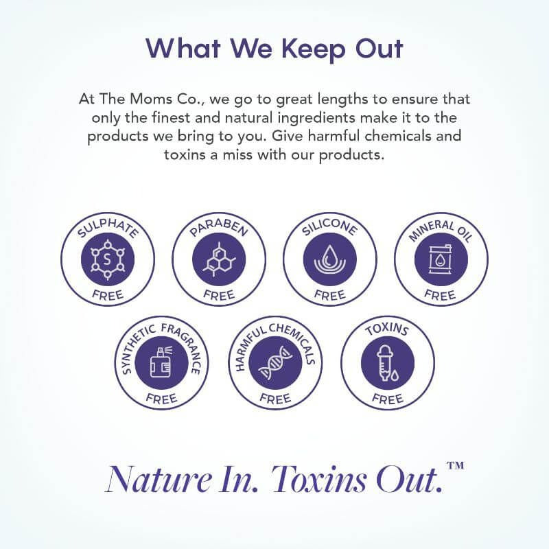 The Moms Co Natural Fruit Lip Balm - Distacart