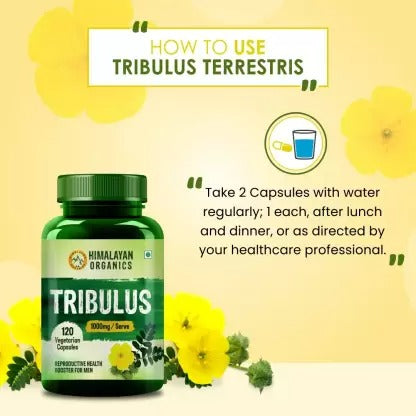 Himalayan Organics Tribulus 1000 Mg/Serve Vegetarian Capsules - Distacart