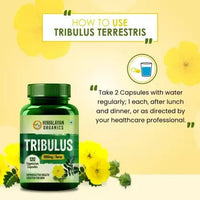 Thumbnail for Himalayan Organics Tribulus 1000 Mg/Serve Vegetarian Capsules - Distacart
