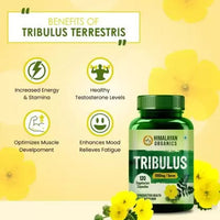 Thumbnail for Himalayan Organics Tribulus 1000 Mg/Serve Vegetarian Capsules - Distacart