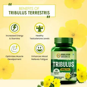 Himalayan Organics Tribulus 1000 Mg/Serve Vegetarian Capsules - Distacart