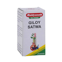 Thumbnail for Baidyanath Jhansi Giloy Satwa Powder - Distacart