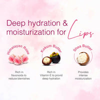 Thumbnail for WOW Skin Science Himalayan Rose Lip Balm - Distacart