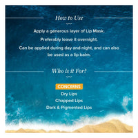 Thumbnail for Aqualogica Glow+ Plump Lip Mask - Distacart