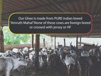 Thumbnail for Tatsat Full Moon Day Ghee From Forest Gazing Amruth Mahal A2 Cows - Distacart