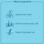 Thumbnail for Laurik Hair Scalp Serum For Men & Women | Redensyl, Procapil, Keratin, Biotin & Lauric Acid | Strengthener Hair Follicles & Growth - Distacart
