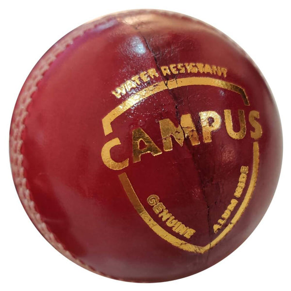 SG Campus Four Piece Leather Cricket Ball - Red - Distacart