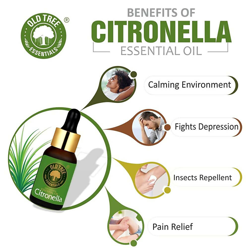 Old Tree Citronella Essential Oil - Distacart