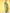 Saree Mall Green & Golden Woven Design Banarasi Saree - Distacart
