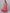 Ishin Women Green & Pink Printed Kurta with Sharara & Dupatta - Distacart