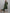 Kalini Women Green Embroidered Mirror Work Kurta with Trousers & With Dupatta - Distacart