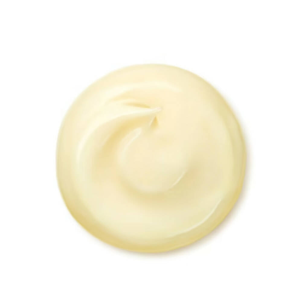 Shiseido Wrinkle Smoothing Cream - Distacart