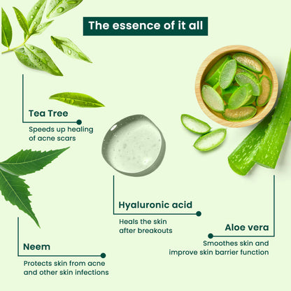 Vasu Botanicals Tea Tree Face Serum - Distacart