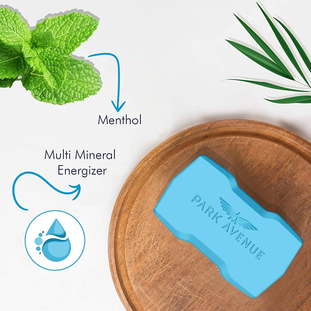 Park Avenue Premium Men's Soap - Cool Blue