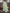 Saree Mall Floral Woven Design Pure Chiffon Sarees - Distacart