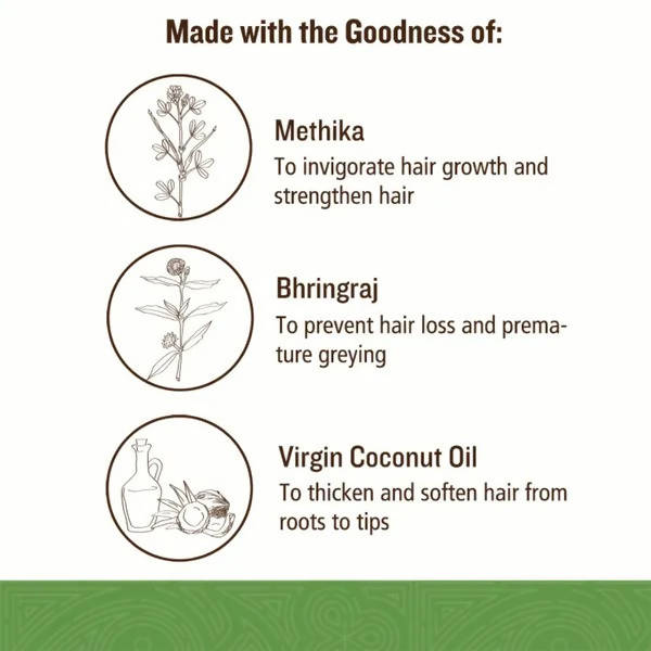 Soultree Nourishing Hair Oil Key Ingredients