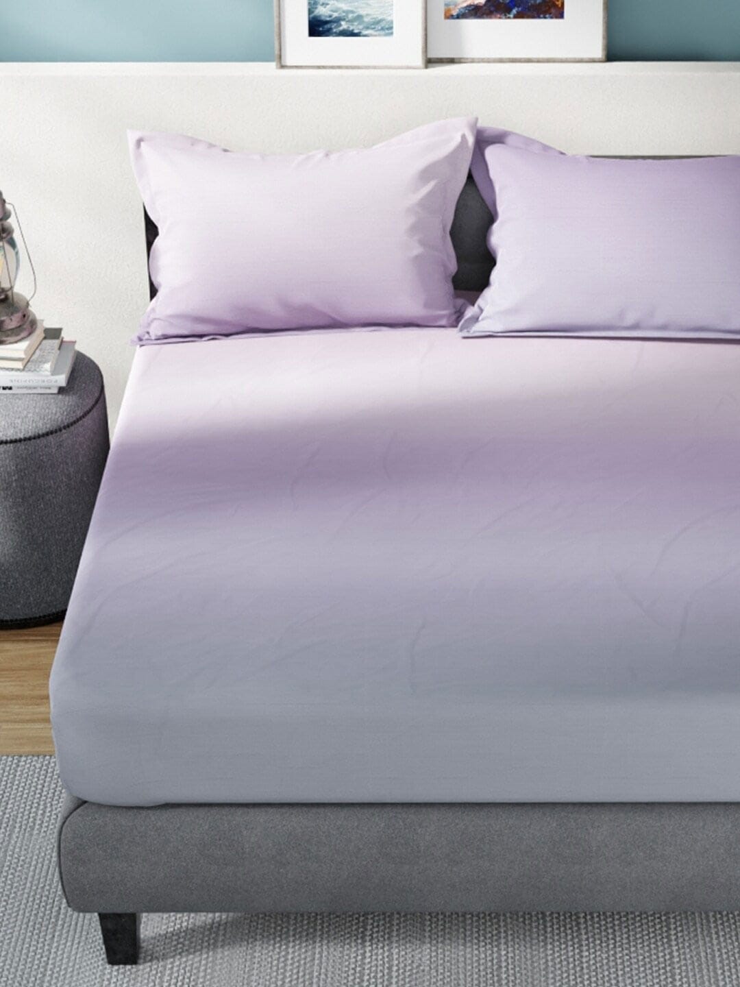 Nautica Bradford Purple & Mauve 160 TC Pure Cotton King Bedsheet & 2 Pillow Covers - Distacart