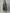 Khushal K Printed Kurta with Palazzos & With Dupatta - Distacart