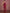 Koskii Ethnic Motifs Embroidered Poly Georgette Saree - Distacart