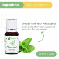 Thumbnail for Naturalis Essence of Nature Peppermint Essential Oil Ingredients 