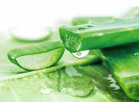 Thumbnail for Herbal Essences Sulfate Free potent Aloe 