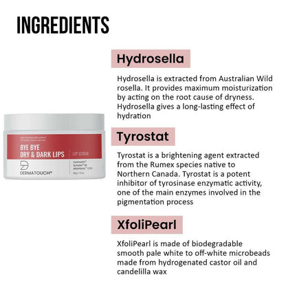 Dermatouch Bye Bye Dry & Dark Lips Lip Scrub - Distacart