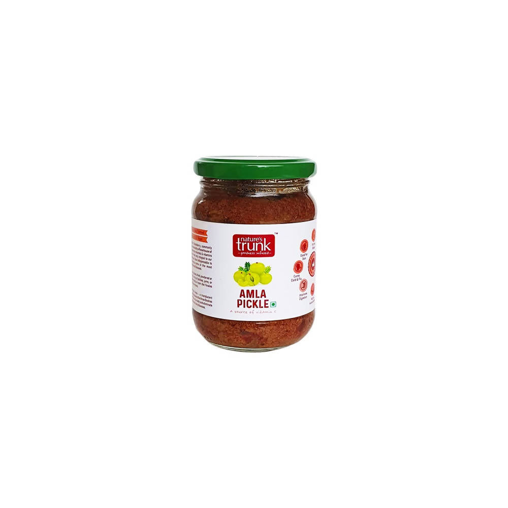 Nature's Trunk Amla pickle - Distacart