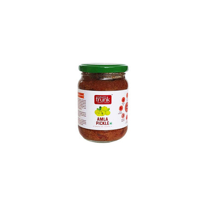 Nature's Trunk Amla pickle - Distacart