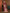 Mitera Ethnic Motif Woven Design Zari Saree - Distacart