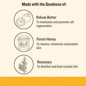 Soultree Hand & Foot Cream - Kokum & Honey With Mountain Rosemary Key Ingredients