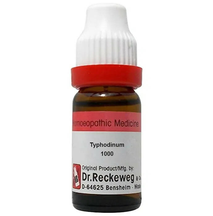 Dr. Reckeweg Typhodinum Dilution - Distacart