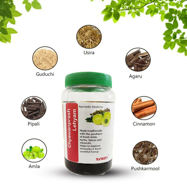 Syndy Pharma Chyawanaprash Lehyam - Distacart