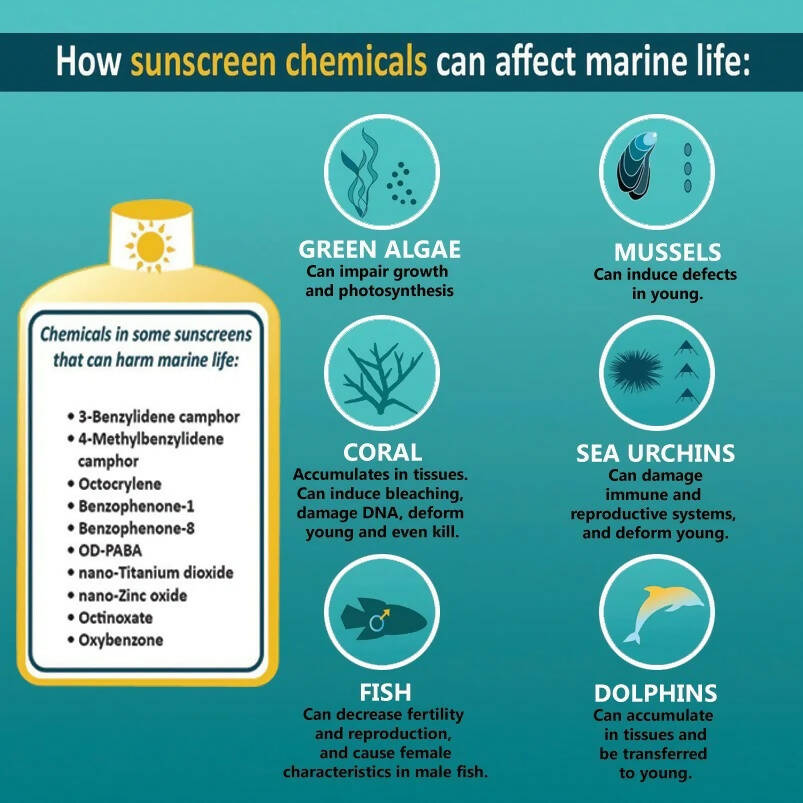 Sintra Naturals Vegan Mineral Suncream - Distacart