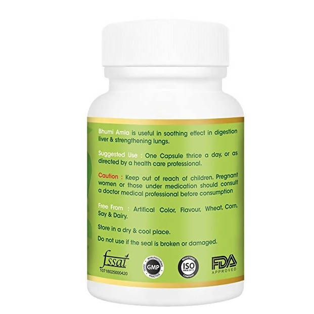 Vitagreen Ayurveda Bhumi Amla Capsules - Distacart