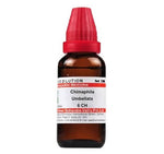 Thumbnail for Dr. Willmar Schwabe India Chimaphila Umbellata Dilution 6 ch
