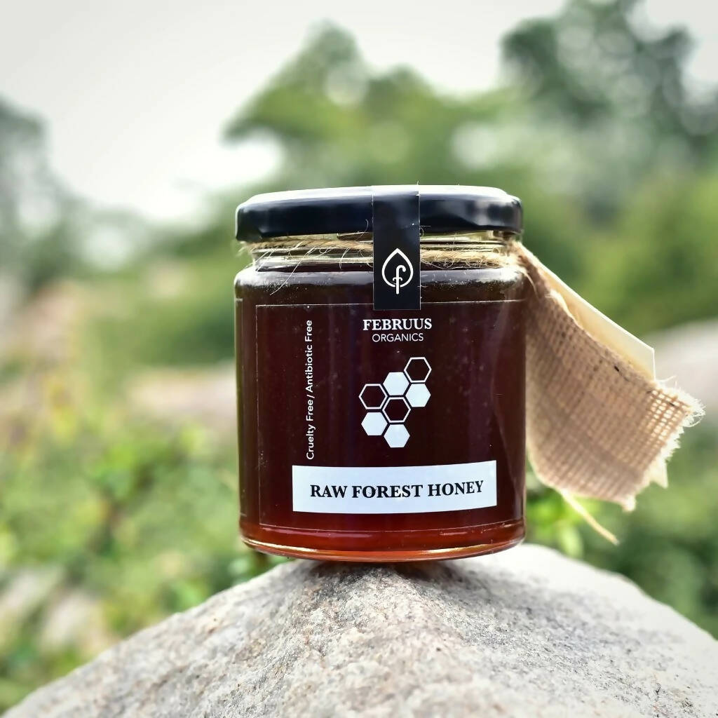 Februus Organics Natural Raw Forest Honey - Distacart