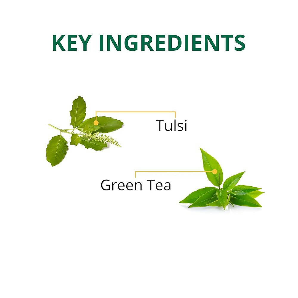 TE-A-ME Restore Tulsi Green Tea Bags - Distacart