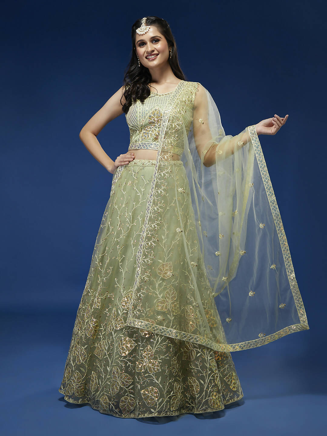 House of Panchhi Pista Net Sequinse Work Lehenga & Blouse, Dupatta - Distacart