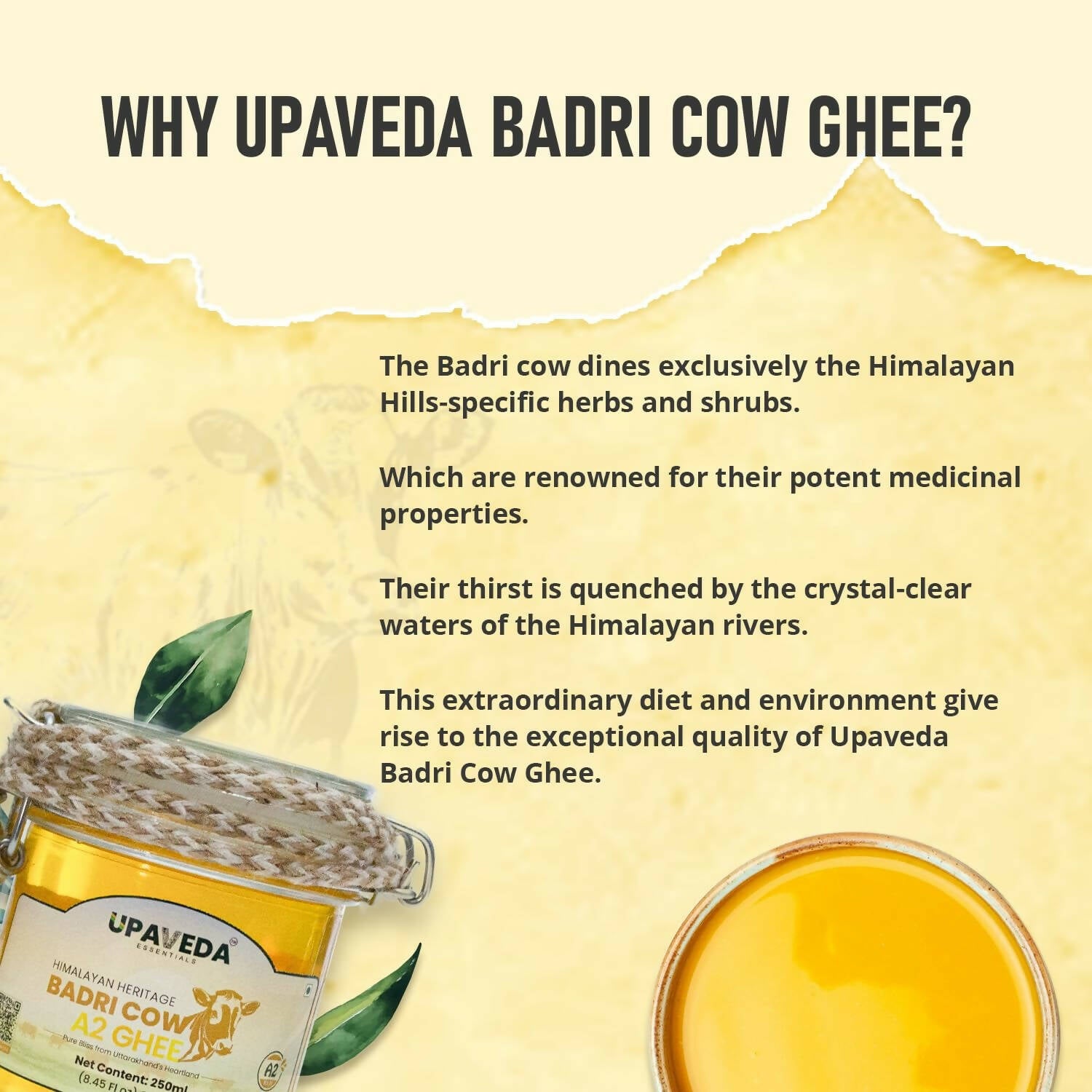 Upaveda Desi Badri Cow Pure A2 Ghee - Distacart