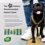 Thumbnail for Happi Doggy Dental Chew Care Digestive Support Pumpkin & Mountain Yam - Distacart