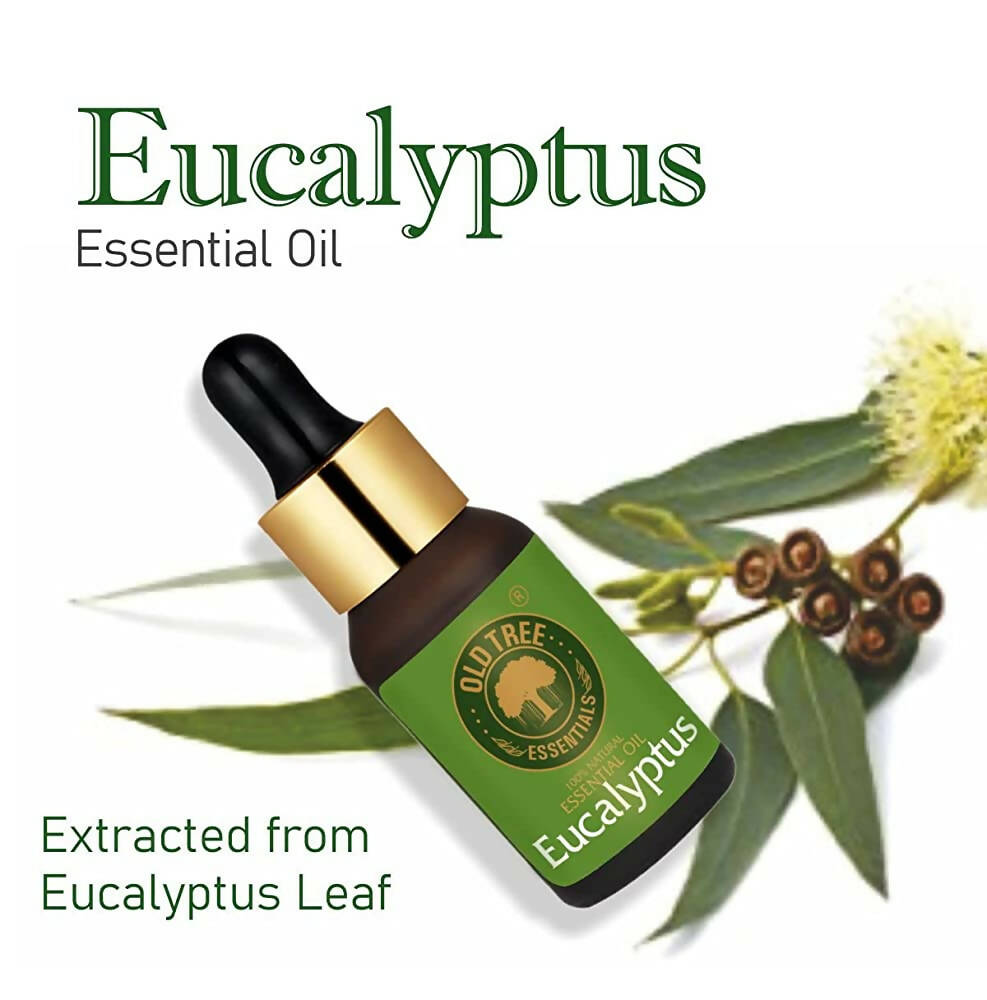 Old Tree 100% Pure Eucalyptus Essential Oil - Distacart