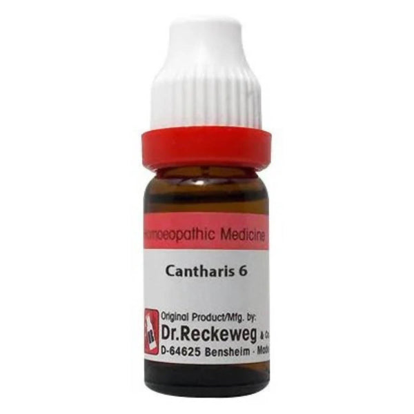 Dr. Reckeweg Cantharis Dilution - Distacart
