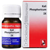 Dr. Reckeweg Kali Phosphoricum Biochemic Tablets - Distacart