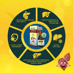 Thumbnail for Dr. Sarkar's Allen Ayur Herbals Livosin DS Tonic - Distacart