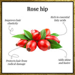 Thumbnail for Good Vibes Plus Argan + Rose Hip - Softening + Shine Imparting Hair Serum