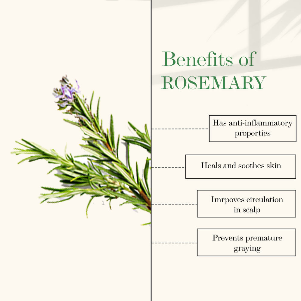 Good Vibes Rosemary 100% Pure Essential Oil